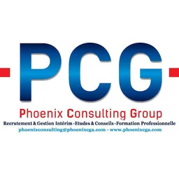 Phoenix Consulting Group SN
