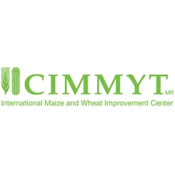 CIMMYT